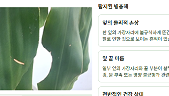 프로젝트 이미지 2