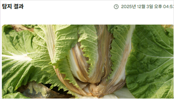 프로젝트 이미지 3